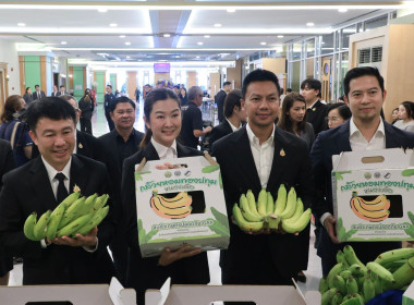 รัฐมนตรีช่วยเกษตรฯ ... พารามิเตอร์รูปภาพ 19