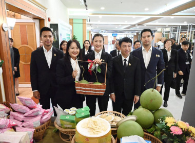 รัฐมนตรีช่วยเกษตรฯ ... พารามิเตอร์รูปภาพ 36