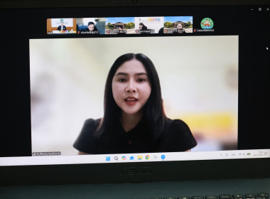 ผอ. สทส. ... พารามิเตอร์รูปภาพ 11