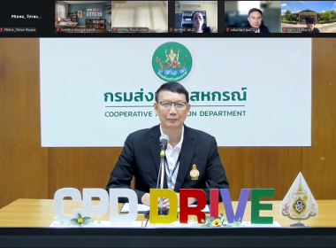 ผอ. สทส. ... พารามิเตอร์รูปภาพ 26