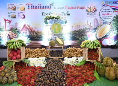 งานแถลงข่าวมหกรรมผลไม้ “Thailand : The Land of Tropical ... พารามิเตอร์รูปภาพ 5