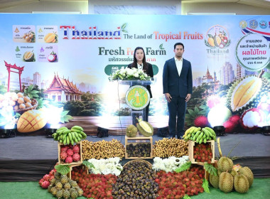 งานแถลงข่าวมหกรรมผลไม้ “Thailand : The Land of Tropical ... พารามิเตอร์รูปภาพ 18