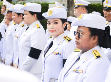 บุคลากร สทส. ... พารามิเตอร์รูปภาพ 38