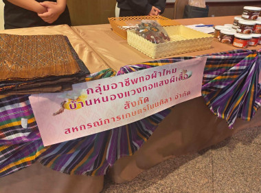 โครงการขับเคลื่อนนโยบาย CPD DRIVE รุ่นที่ 2 พารามิเตอร์รูปภาพ 8