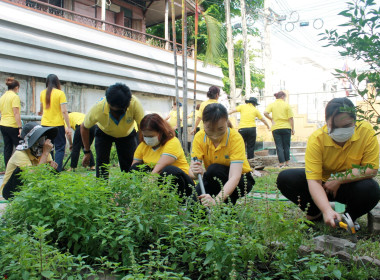 บุคลากร สทส. ร่วมใจ ปรับปรุงภูมิทัศน์ พารามิเตอร์รูปภาพ 6