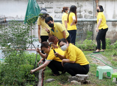 บุคลากร สทส. ร่วมใจ ปรับปรุงภูมิทัศน์ พารามิเตอร์รูปภาพ 7