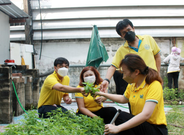 บุคลากร สทส. ร่วมใจ ปรับปรุงภูมิทัศน์ พารามิเตอร์รูปภาพ 8