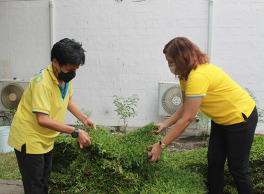 บุคลากร สทส. ร่วมใจ ปรับปรุงภูมิทัศน์ พารามิเตอร์รูปภาพ 22