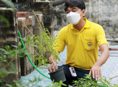 บุคลากร สทส. ร่วมใจ ปรับปรุงภูมิทัศน์ พารามิเตอร์รูปภาพ 26