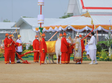 พระราชพิธีพืชมงคลจรดพระนังคัลแรกนาขวัญ พ.ศ. 2566 พารามิเตอร์รูปภาพ 10