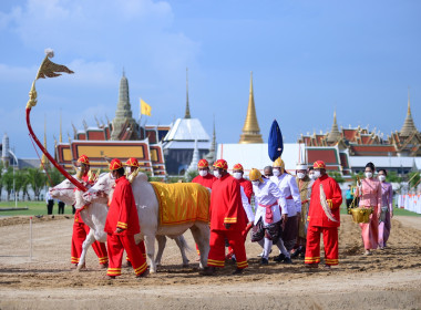 พระราชพิธีพืชมงคลจรดพระนังคัลแรกนาขวัญ พ.ศ. 2566 พารามิเตอร์รูปภาพ 11