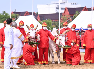 พระราชพิธีพืชมงคลจรดพระนังคัลแรกนาขวัญ พ.ศ. 2566 พารามิเตอร์รูปภาพ 18